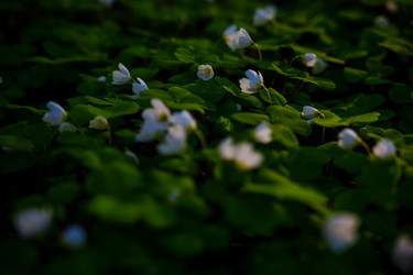 Similar image 22117944