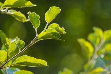 Similar image 22115274