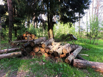 Similar image 22117367