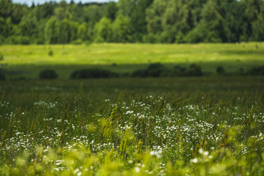 Similar image 22117370