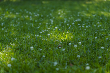 Similar image 22113475