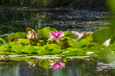 Similar image 22117946