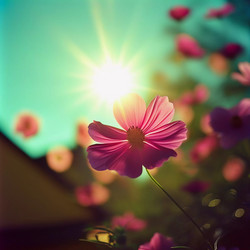 Similar image 22115515