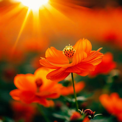 Similar image 22115517