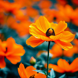 Similar image 22116152