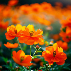 Similar image 22118746