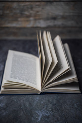 Similar image 22113565