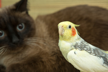 Similar image 22117662