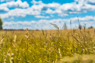 Similar image 22109367