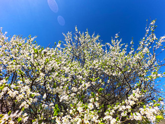 Similar image 22113627