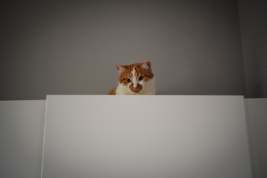 Similar image 22113479