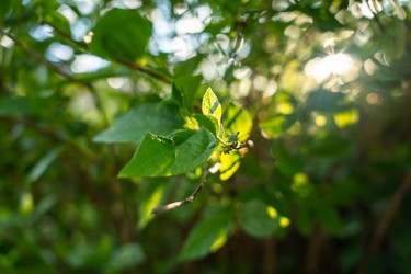 Similar image 22115231