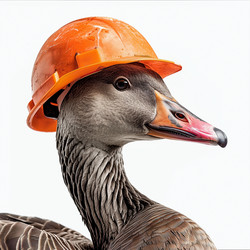 Similar image 22117416