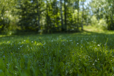 Similar image 22113585