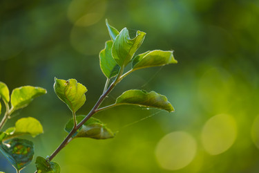 Similar image 22112354