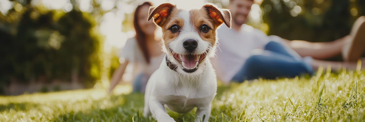 Similar image 22097347