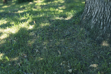 Similar image 22117445