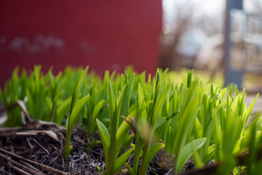 Similar image 22117447