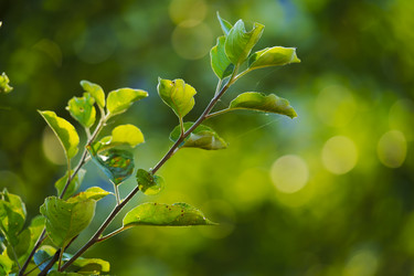 Similar image 22096808