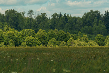 Similar image 22113841