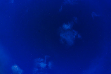 Similar image 22117454