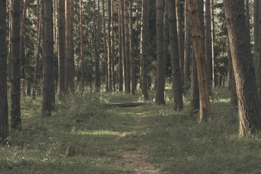 Similar image 22113074