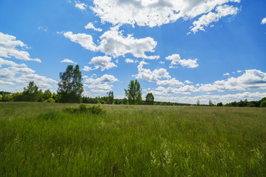 Similar image 22117460