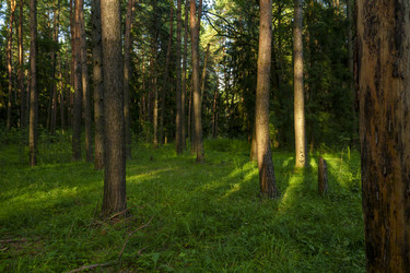 Similar image 22109437