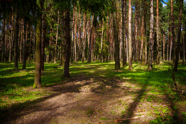 Similar image 22112370