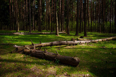 Similar image 22117961