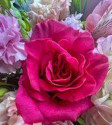 Similar image 22125979