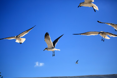 Similar image 22128331