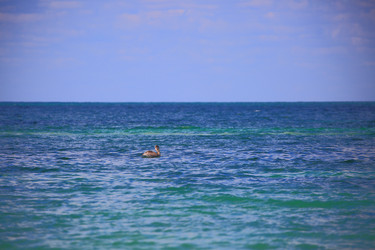 Similar image 22128332