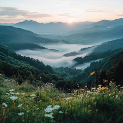 Similar image 22117481