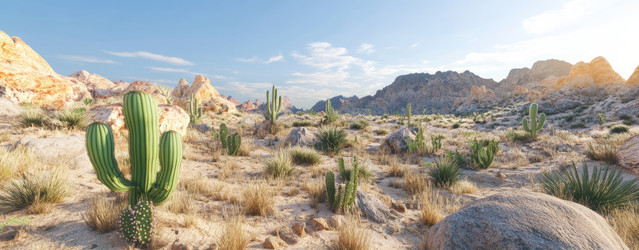 Similar image 22123830