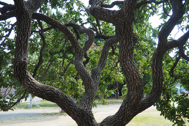 Similar image 22118763