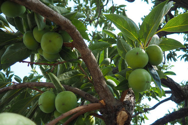 Similar image 22119002