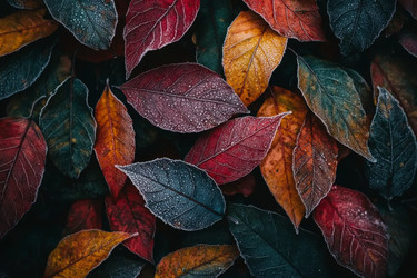 Similar image 22123834