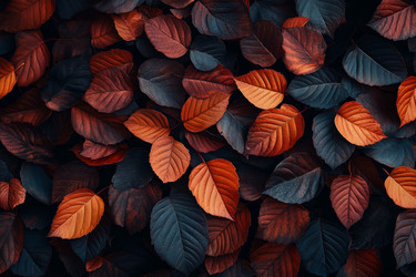 Similar image 22111602