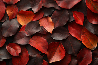 Similar image 22097373