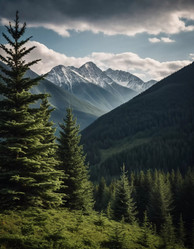 Similar image 22118764