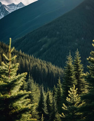 Similar image 22118860