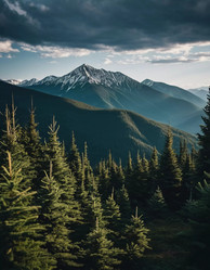 Similar image 22119005