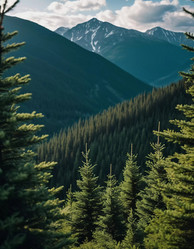 Similar image 22119283