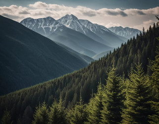 Similar image 22119284