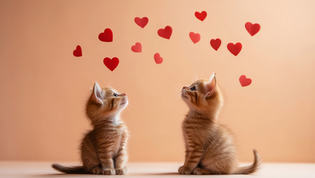 Similar image 22123144