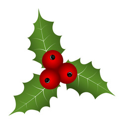 Similar image 22125994