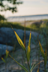 Similar image 22112384