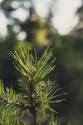 Similar image 22112385