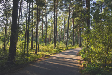 Similar image 22113079